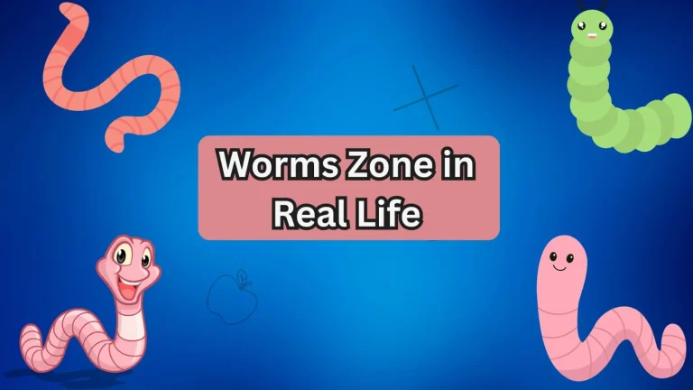 Worms Zone in Real Life
